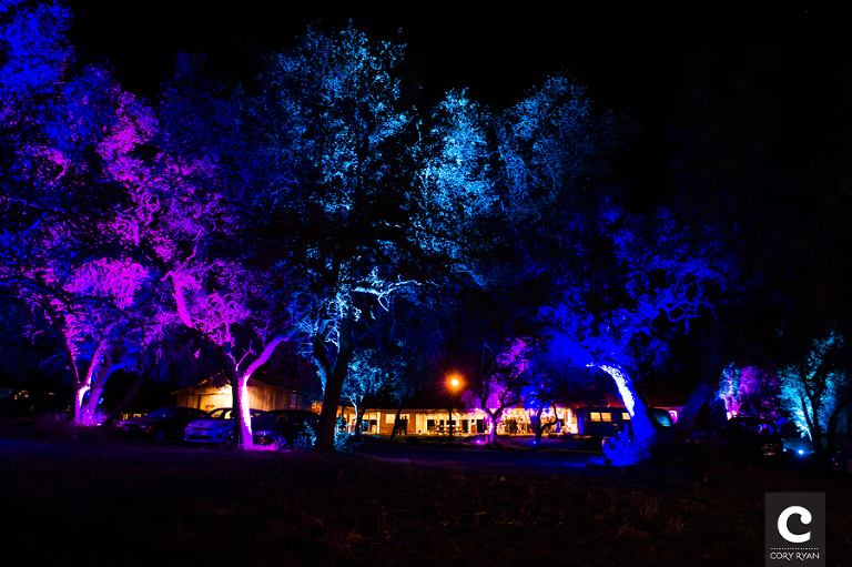 reception lighting