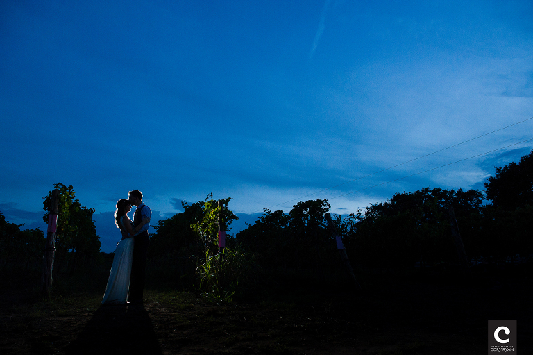 top wedding photographers