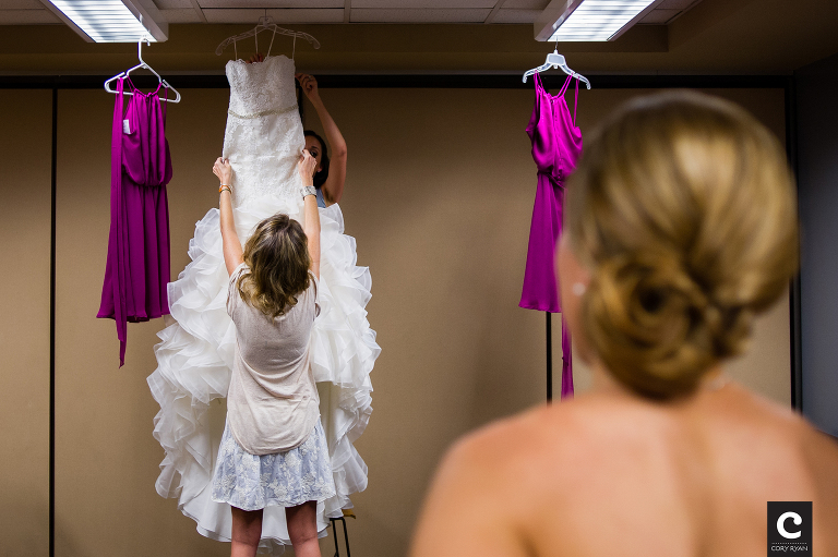 Pronovias Wedding gown