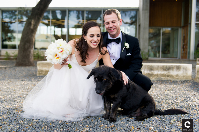 wedding dog