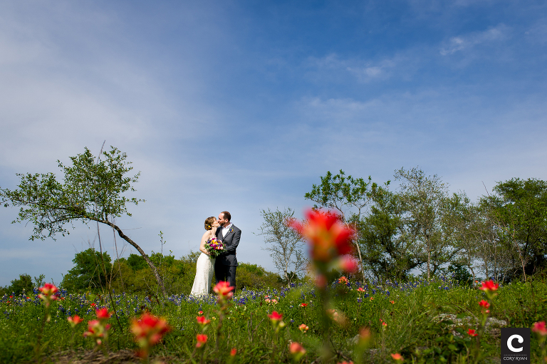 texas wildflowers