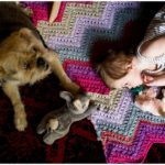 austin family photographer